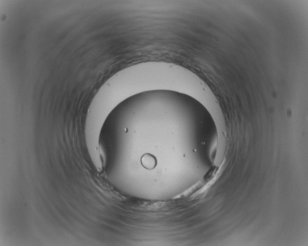 X0000061150186200512161605