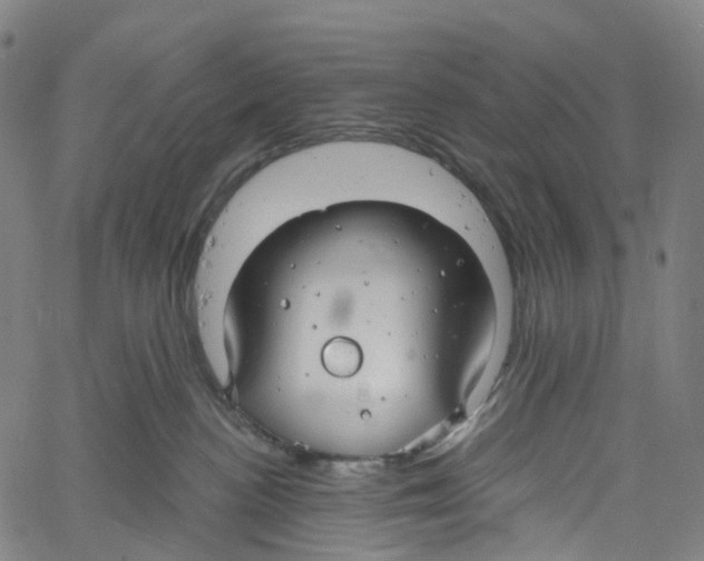 X0000061150188200512161605