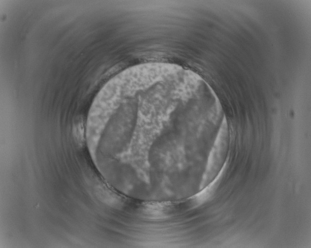 X0000061150190200512161605