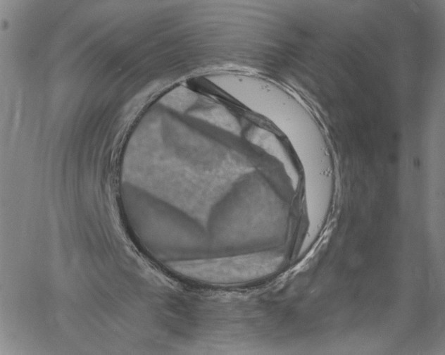 X0000061150193200512161604