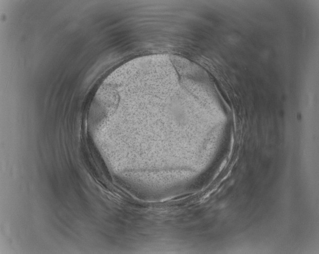 X0000061150194200512161604