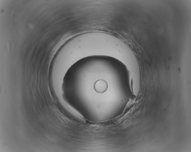 X0000061150195200512161604