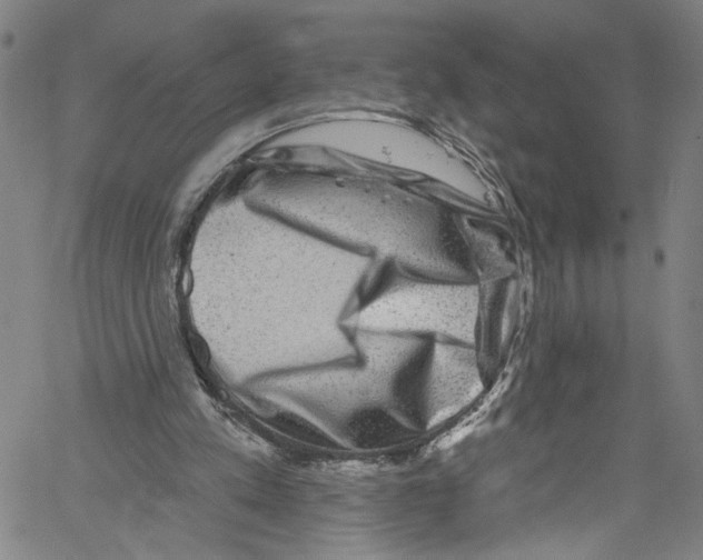 X0000061150197200512161604