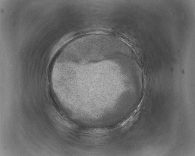 X0000061150198200512161604