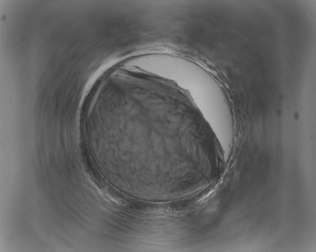 X0000061150200200512161604