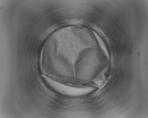 X0000061150201200512161604