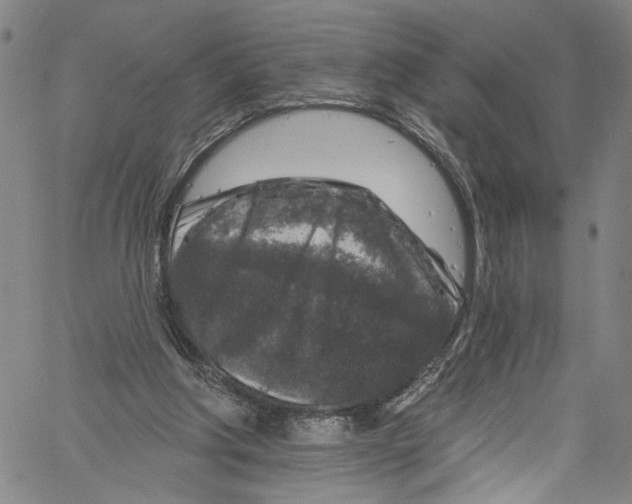 X0000061150202200512161604