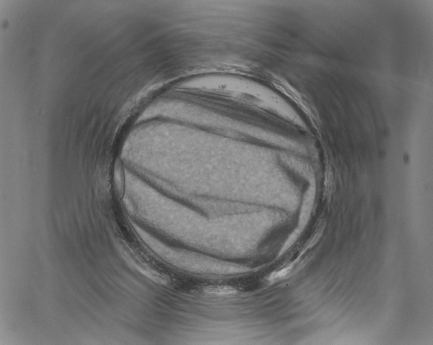 X0000061150203200512161604