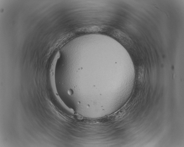 X0000061150206200512161604