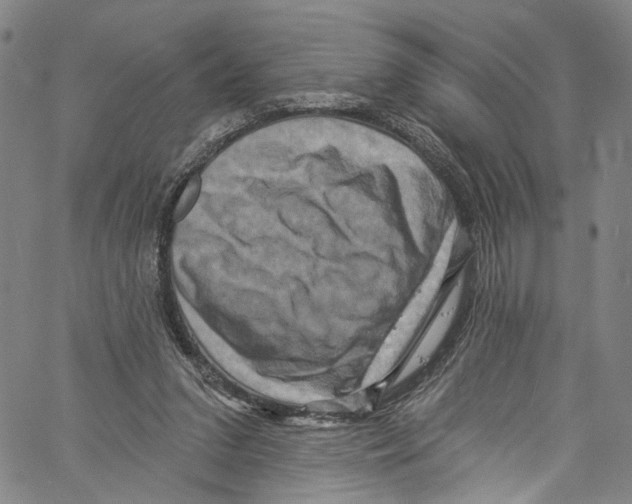 X0000061150207200512161604