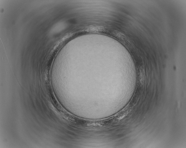 X0000061150208200512161604