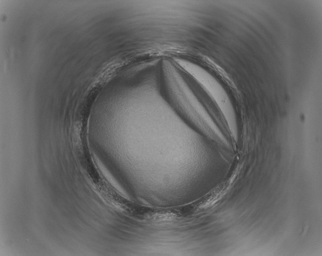 X0000061150209200512161604