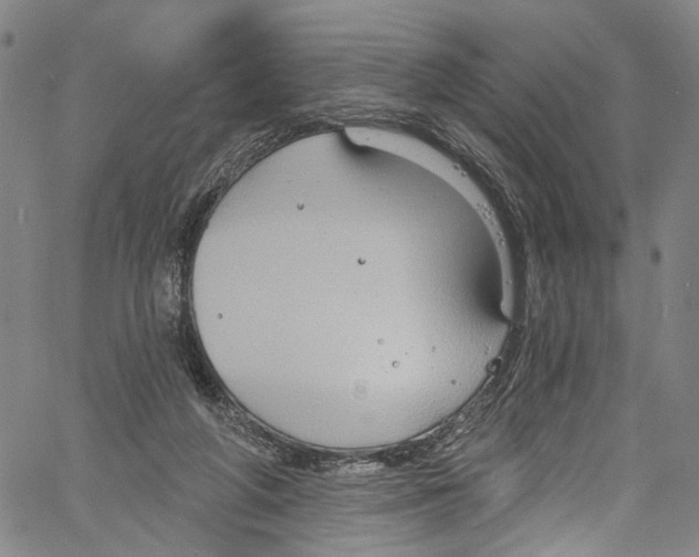 X0000061150210200512161604