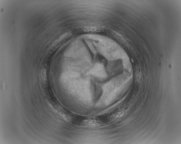 X0000061150211200512161604