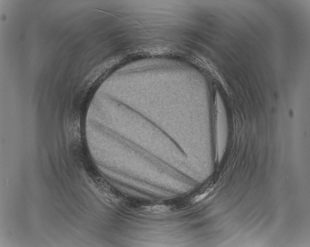 X0000061150212200512161604