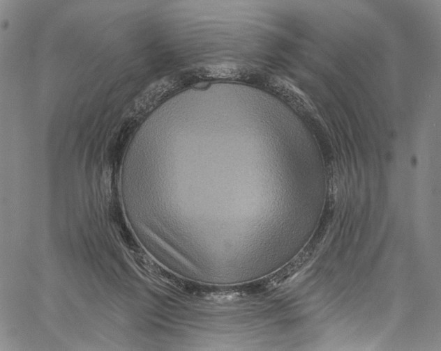 X0000061150213200512161604