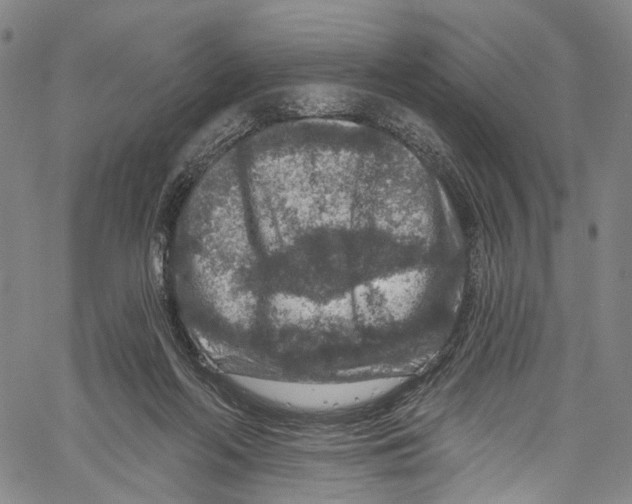 X0000061150214200512161604