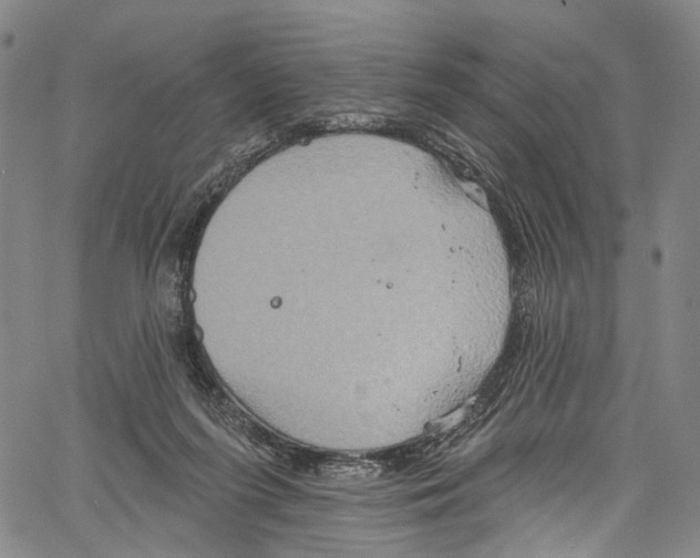 X0000061150215200512161604