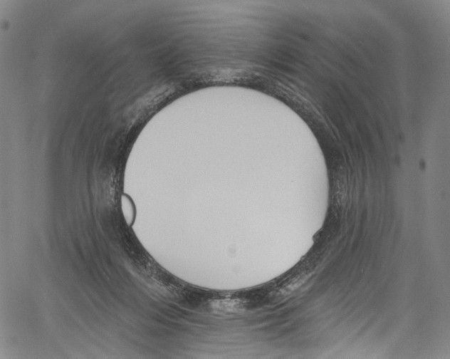 X0000061150216200512161604