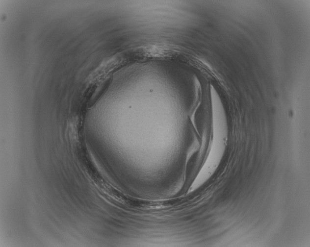 X0000061150217200512161604