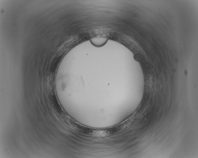 X0000061150218200512161604