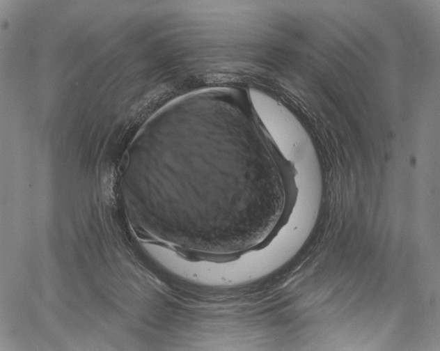 X0000061150219200512161604