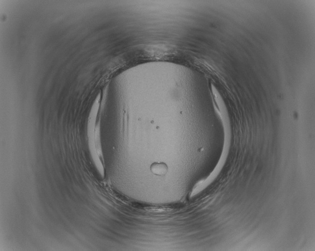 X0000061150221200512161603