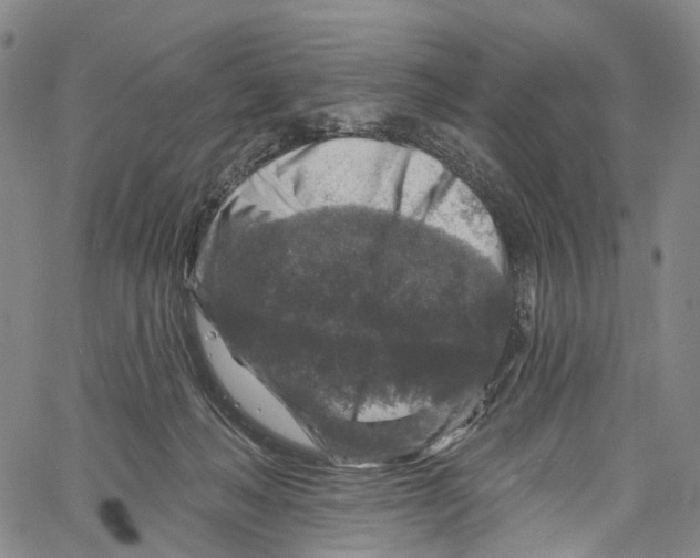 X0000061150222200512161603