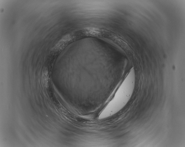 X0000061150223200512161603