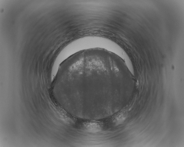 X0000061150224200512161603