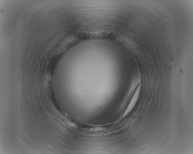 X0000061150225200512161603