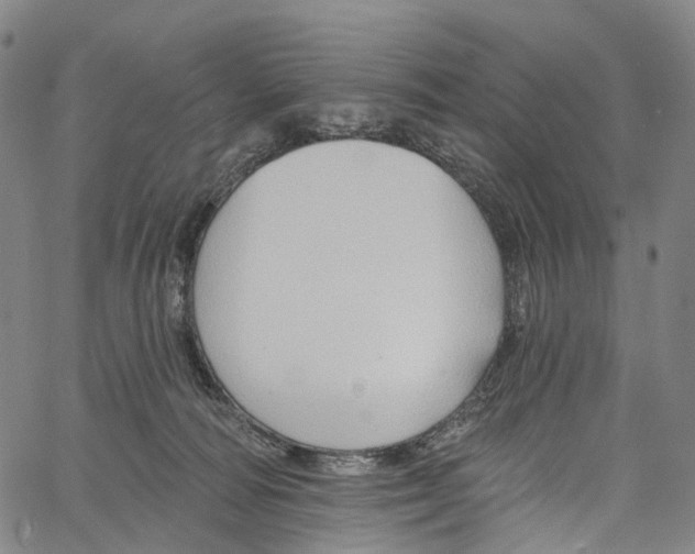 X0000061150226200512161603