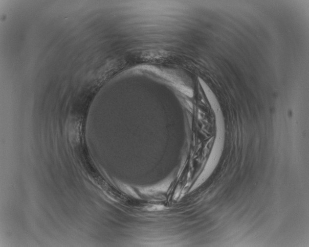 X0000061150227200512161603