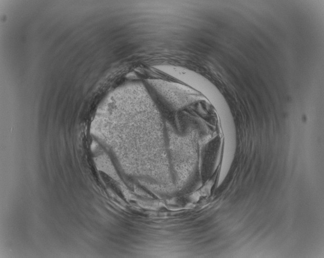 X0000061150229200512161603