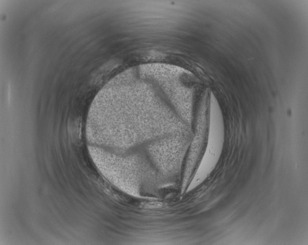 X0000061150230200512161603