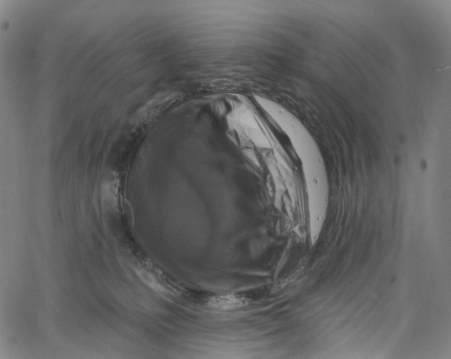 X0000061150231200512161603