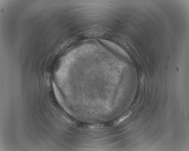 X0000061150232200512161603