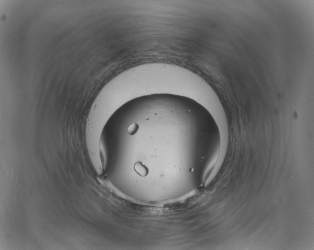 X0000061150233200512161603