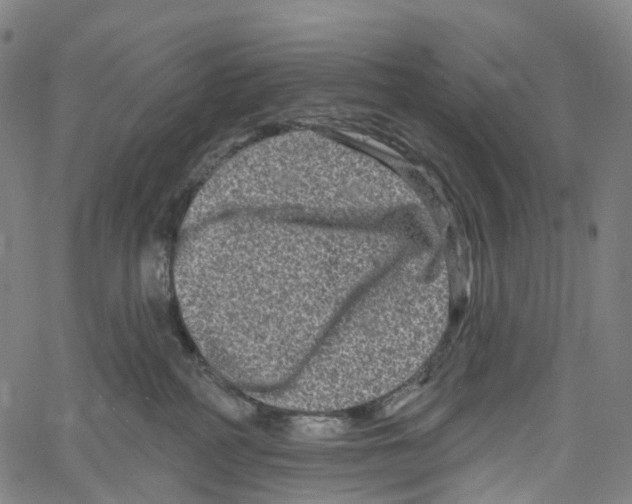 X0000061150234200512161603