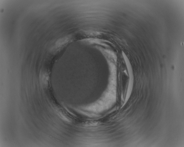 X0000061150235200512161603