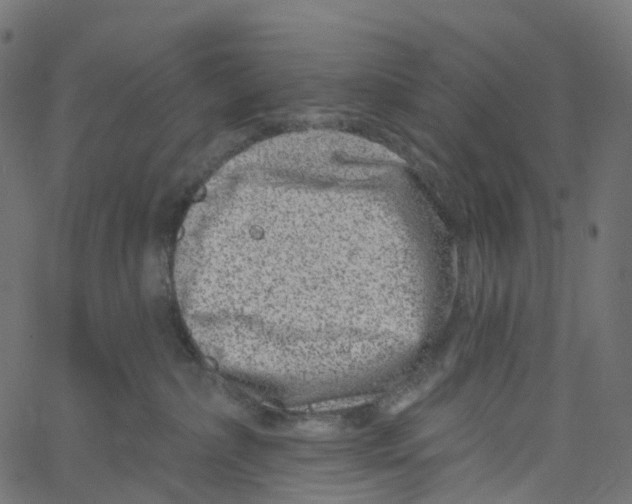 X0000061150236200512161603