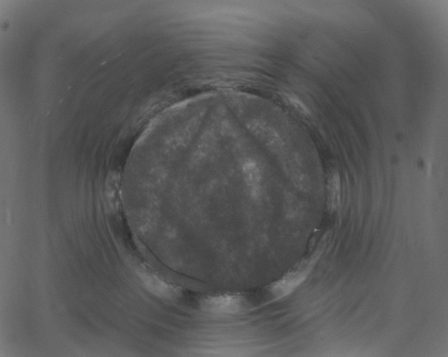 X0000061150237200512161603