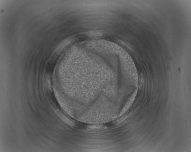 X0000061150238200512161603