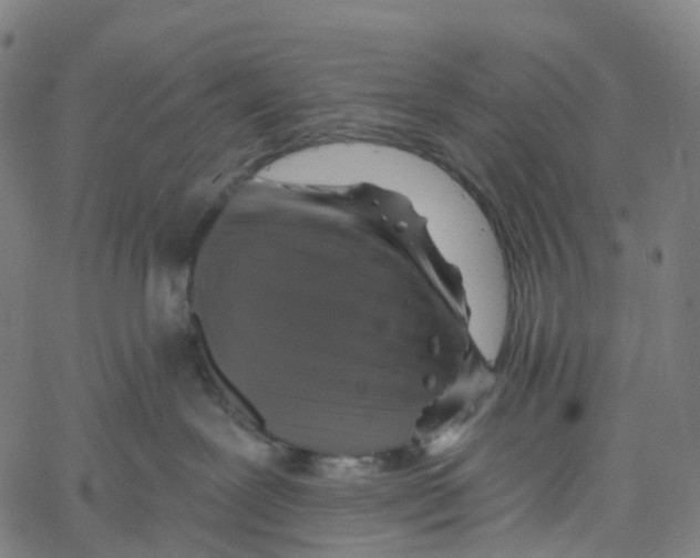 X0000061150239200512161603