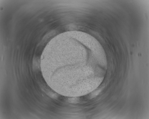 X0000061150240200512161603