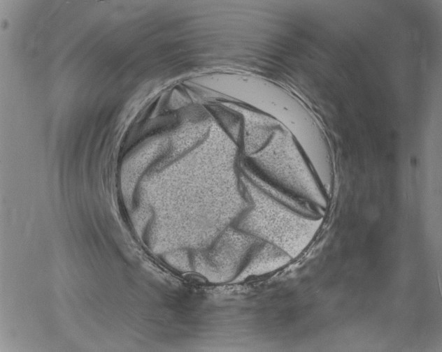 X0000061150241200512161602