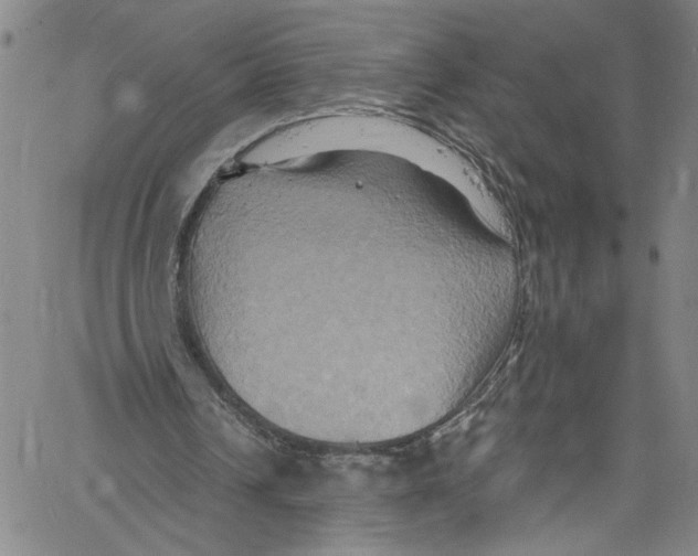 X0000061150242200512161602