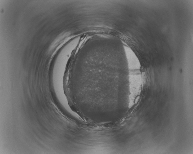 X0000061150243200512161602