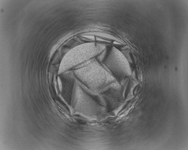 X0000061150244200512161602