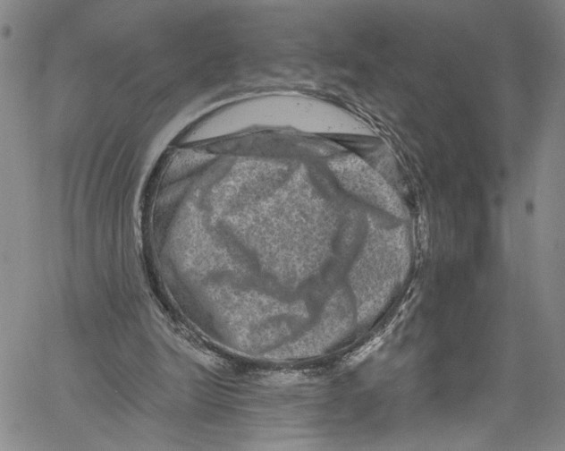 X0000061150246200512161602